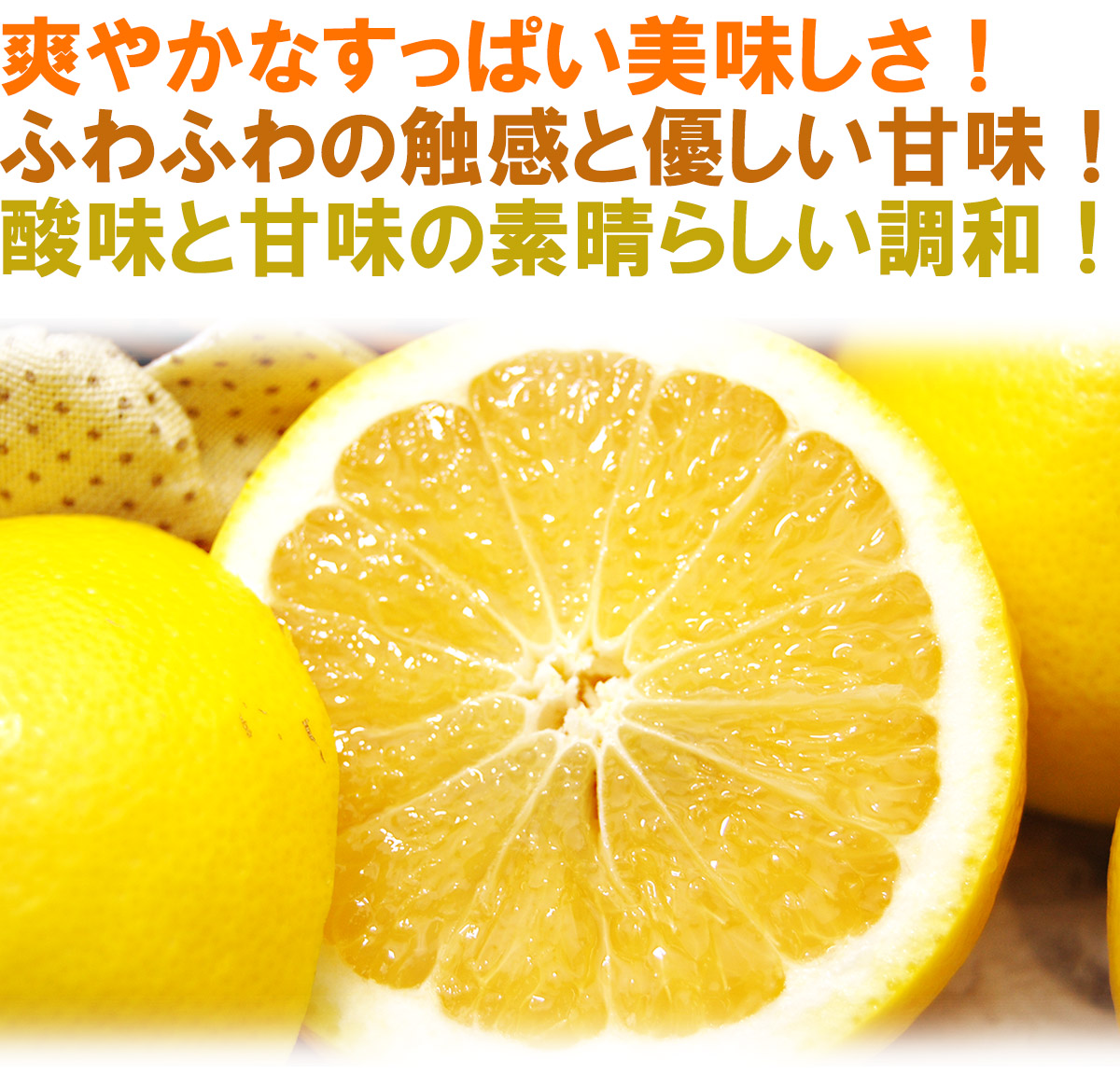 愛媛県産 ニューサマーオレンジ