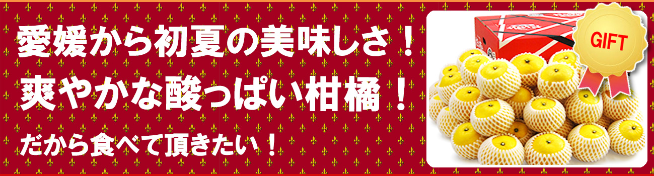 愛媛県産 ニューサマーオレンジ