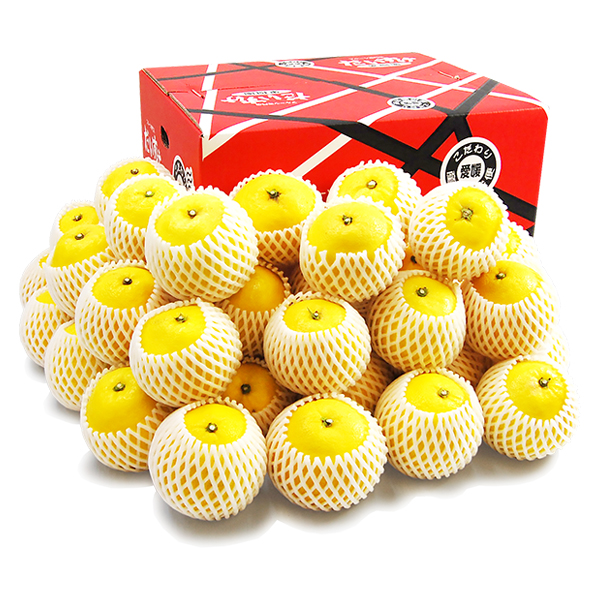 ニューサマーオレンジ ギフト用3ｋｇ