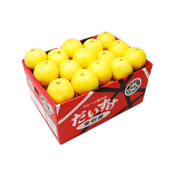 ニューサマーオレンジ ギフト用3ｋｇ