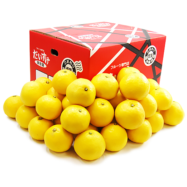 ニューサマーオレンジ ギフト用3ｋｇ