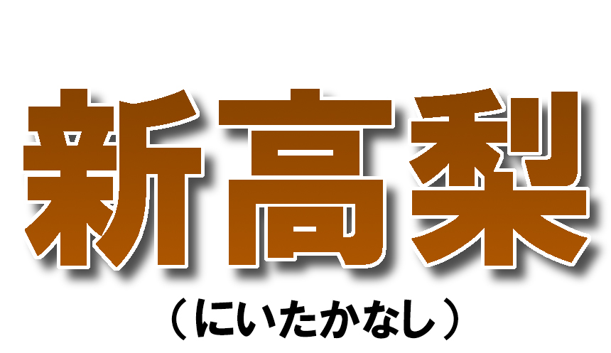 愛媛県産 新高梨（にいたかなし）