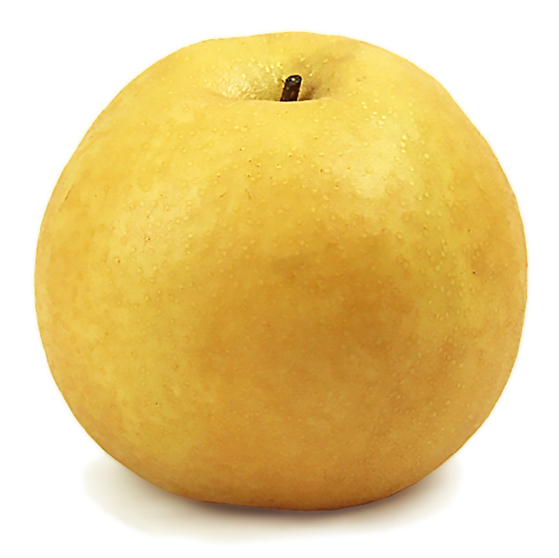 愛媛県産 新高梨（にいたかなし）