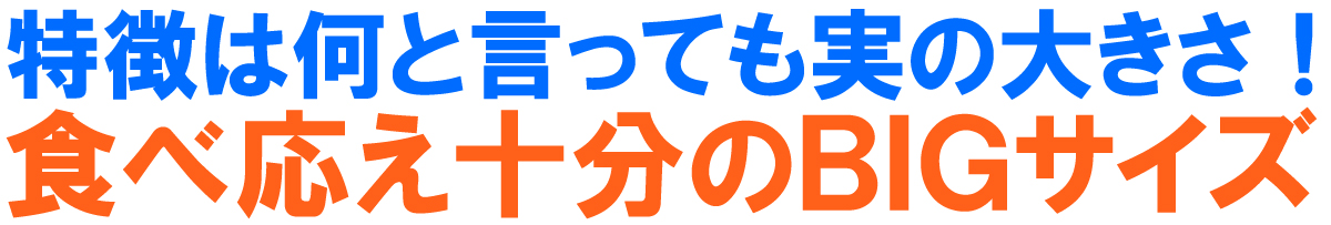 愛媛県産 新高梨（にいたかなし）