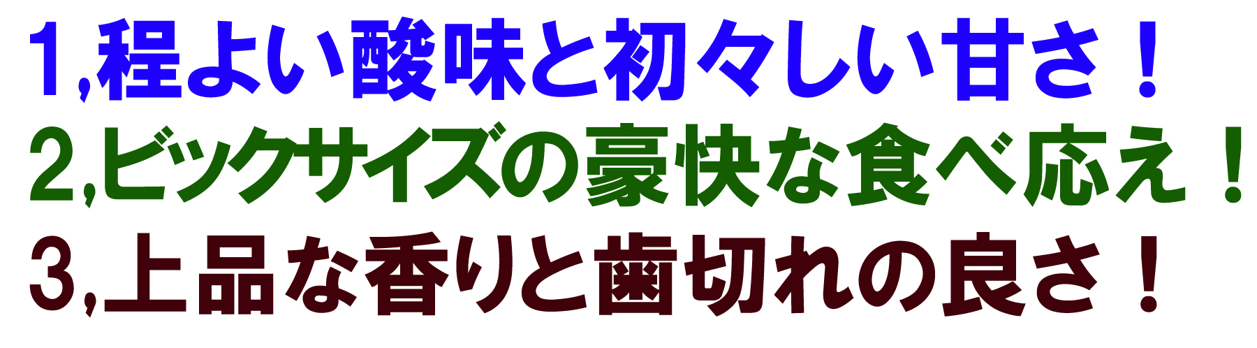 愛媛県産 新高梨（にいたかなし）