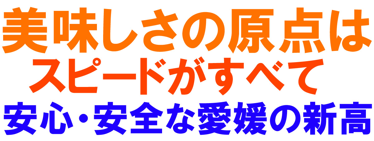 愛媛県産 新高梨（にいたかなし）