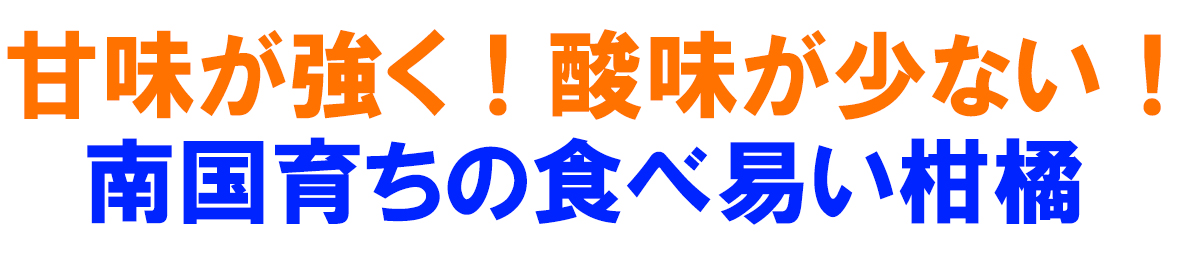 愛媛県産 ポンカン