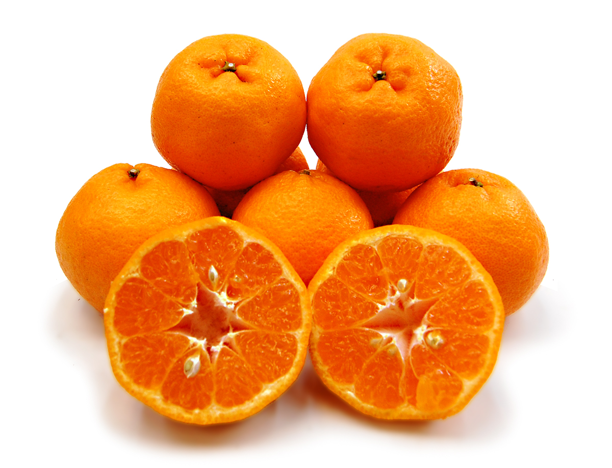 愛媛県産 ポンカン