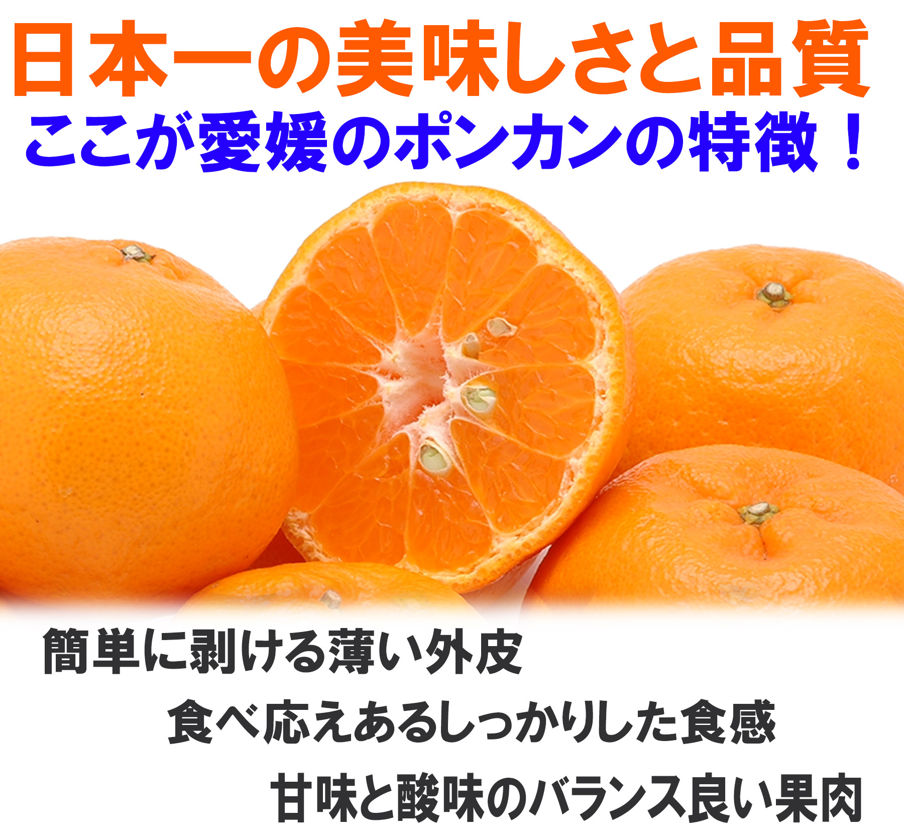 愛媛県産 ポンカン