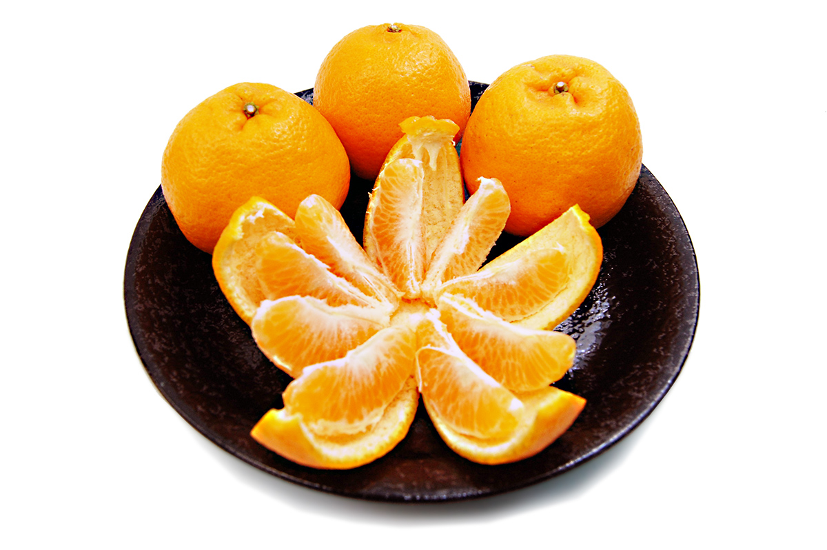 愛媛県産 ポンカン