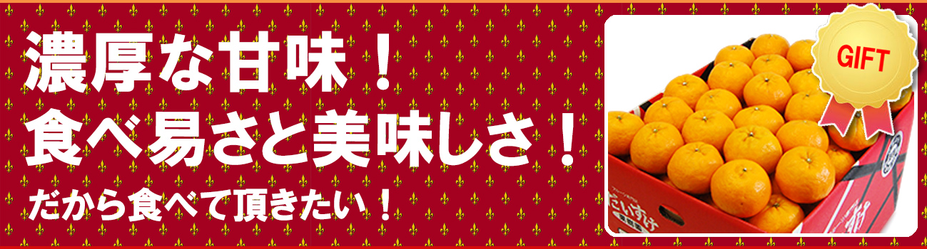 愛媛県産 ポンカン