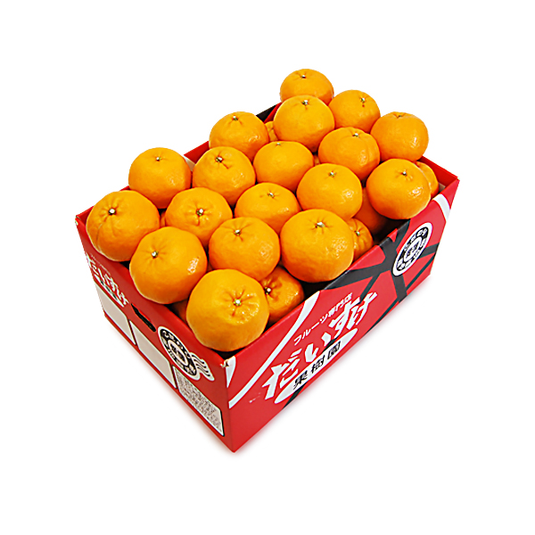 ポンカン ギフト用5ｋｇ