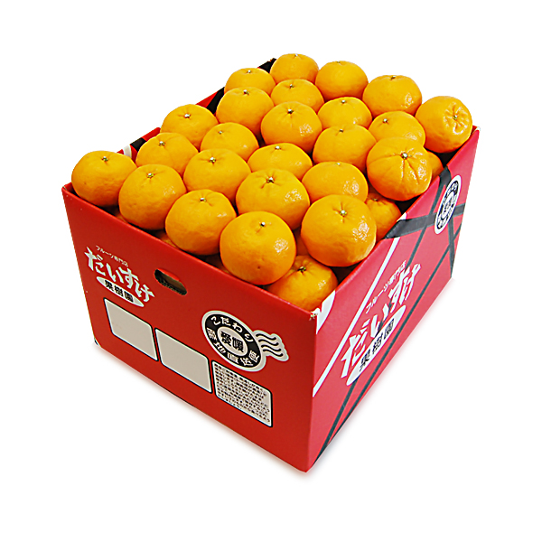 ポンカン ギフト用10ｋｇ