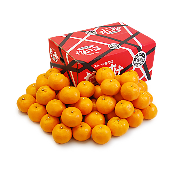 ポンカン お得用5ｋｇ