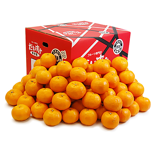 ポンカン お得用10ｋｇ