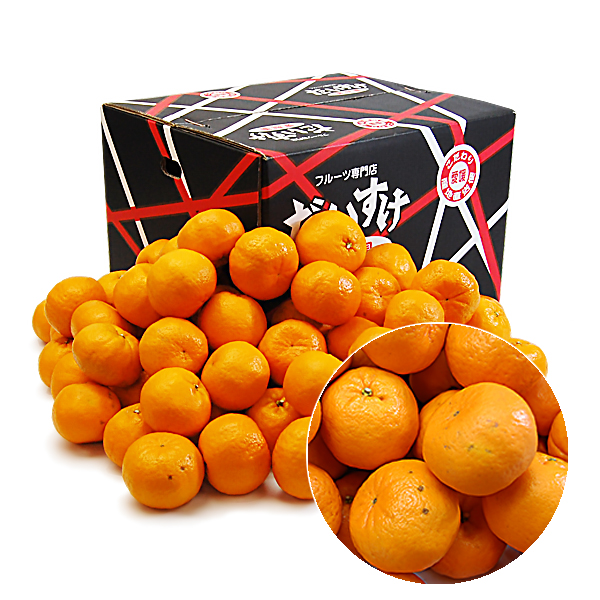 ポンカン キズキズ君10ｋｇ