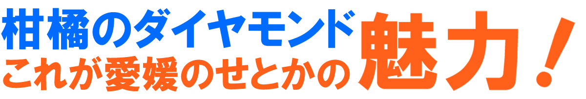 愛媛県産 せとか