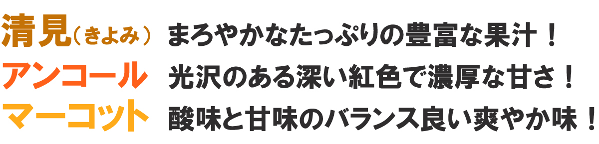 愛媛県産 せとか