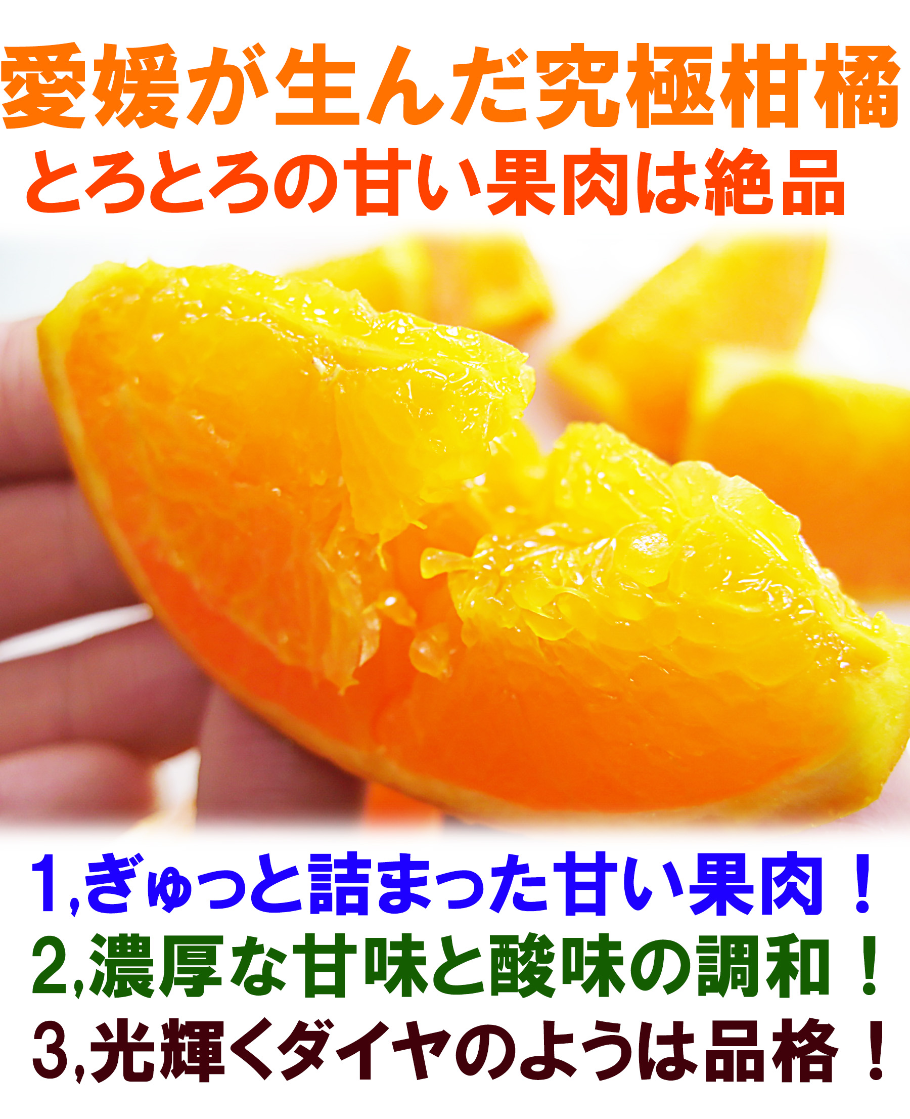 愛媛県産 せとか