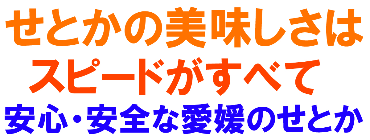 愛媛県産 せとか