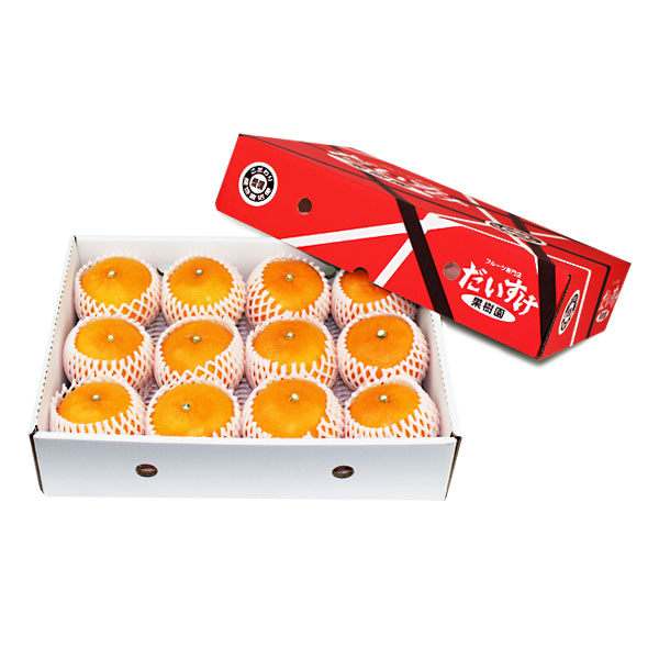 せとか　ギフト用3ｋｇ