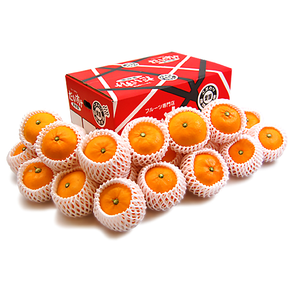 せとか ギフト用5ｋｇ