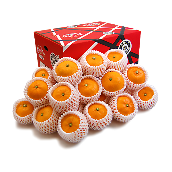 せとか ギフト用10ｋｇ