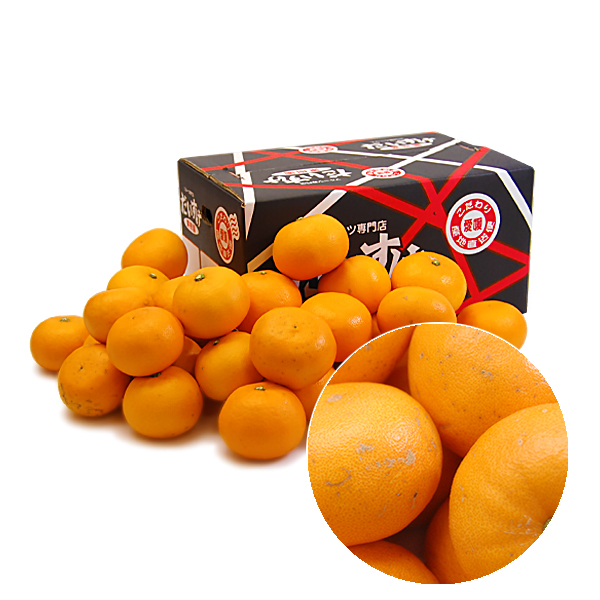 せとか キズキズ君5ｋｇ