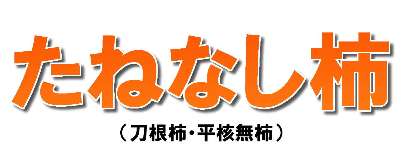 愛媛県産 たねなし柿（刀根・平核無柿）