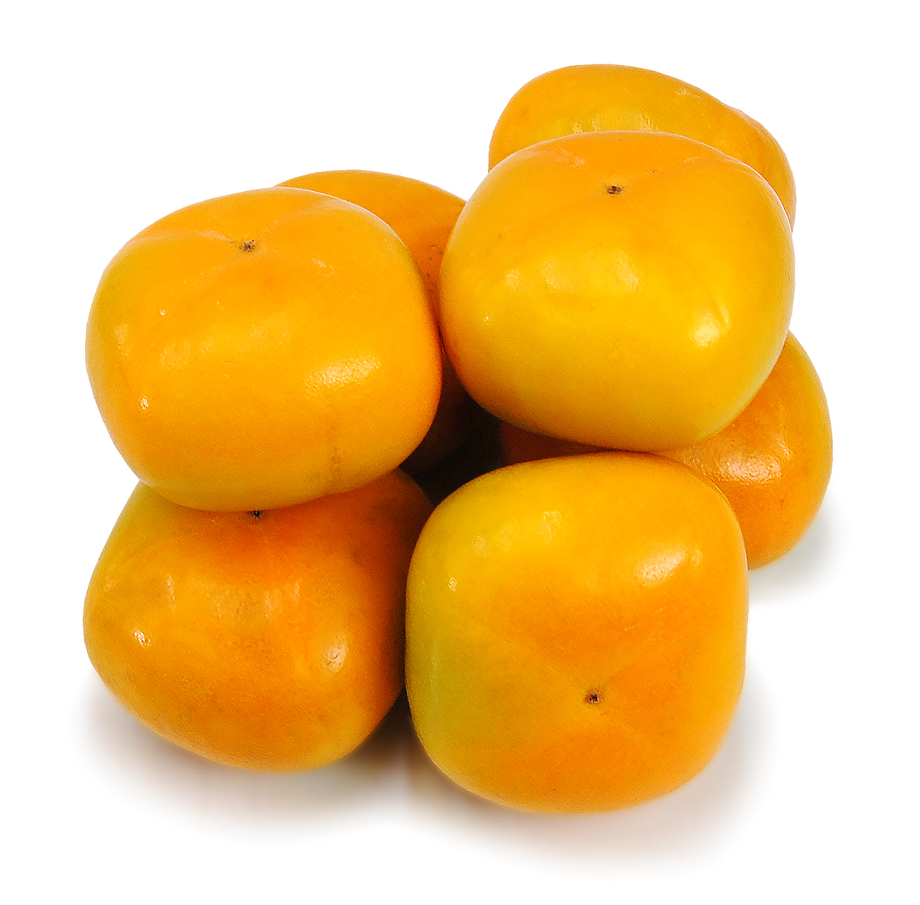 愛媛県産 たねなし柿（刀根・平核無柿）