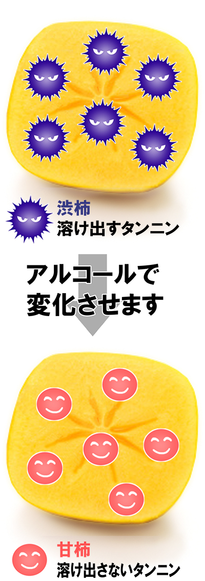 愛媛県産 たねなし柿（刀根・平核無柿）