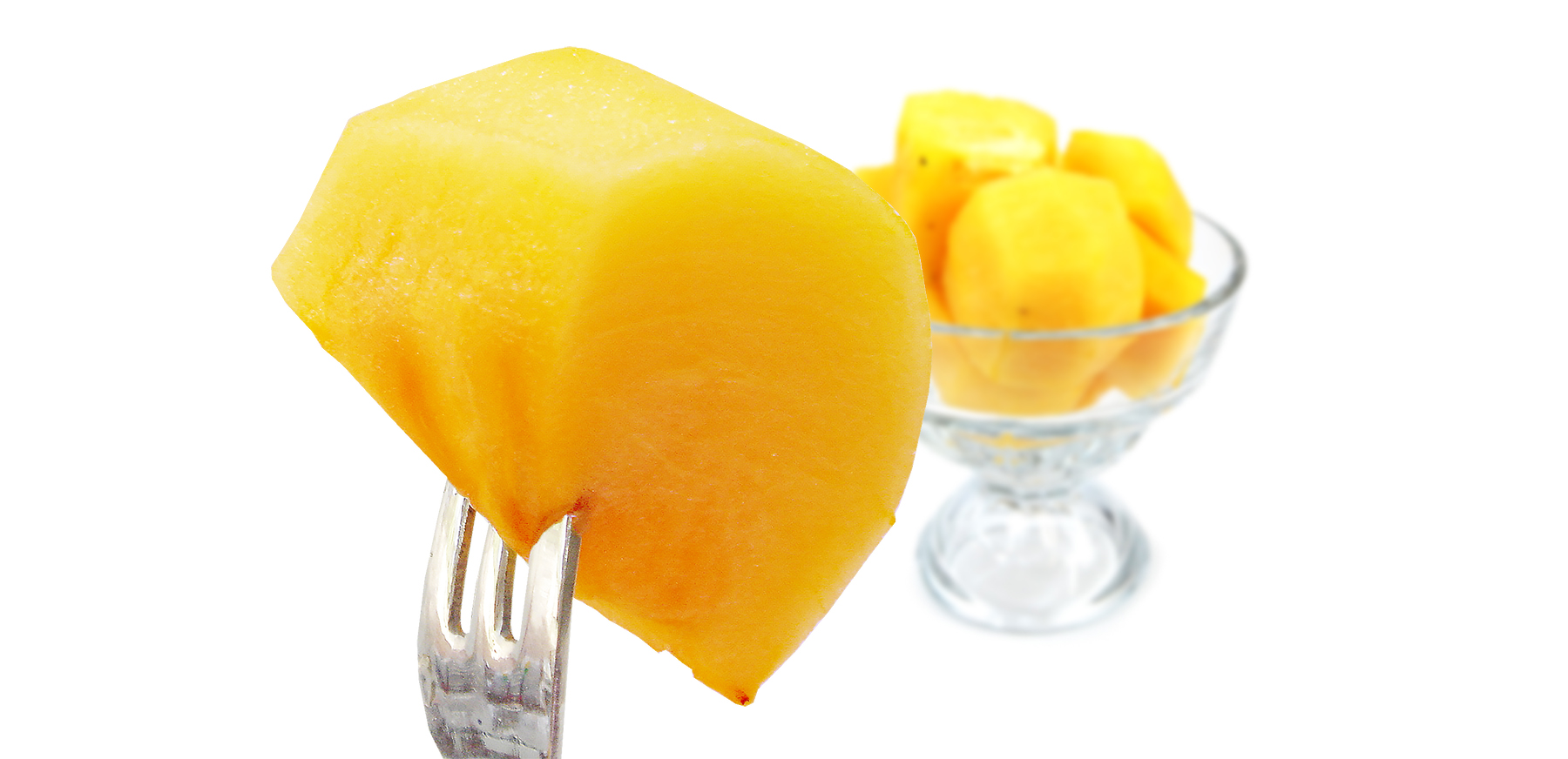 愛媛県産 たねなし柿（刀根・平核無柿）