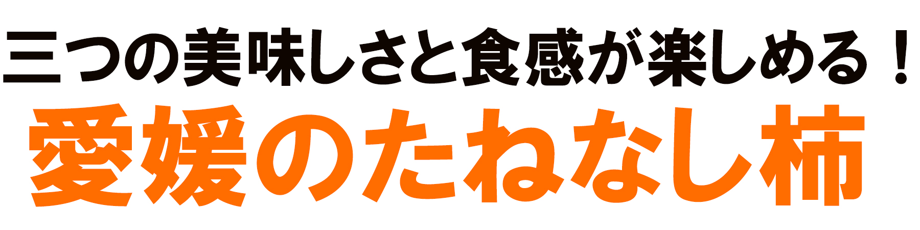 愛媛県産 たねなし柿（刀根・平核無柿）