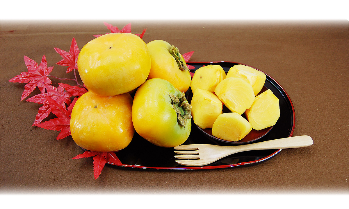 愛媛県産 たねなし柿（刀根・平核無柿）