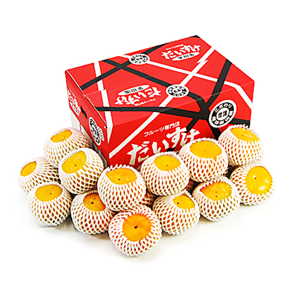 愛媛県産 たねなし柿 ギフト用5ｋｇ