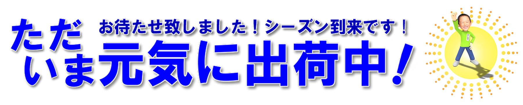 愛媛だいすけ果樹園出荷説明