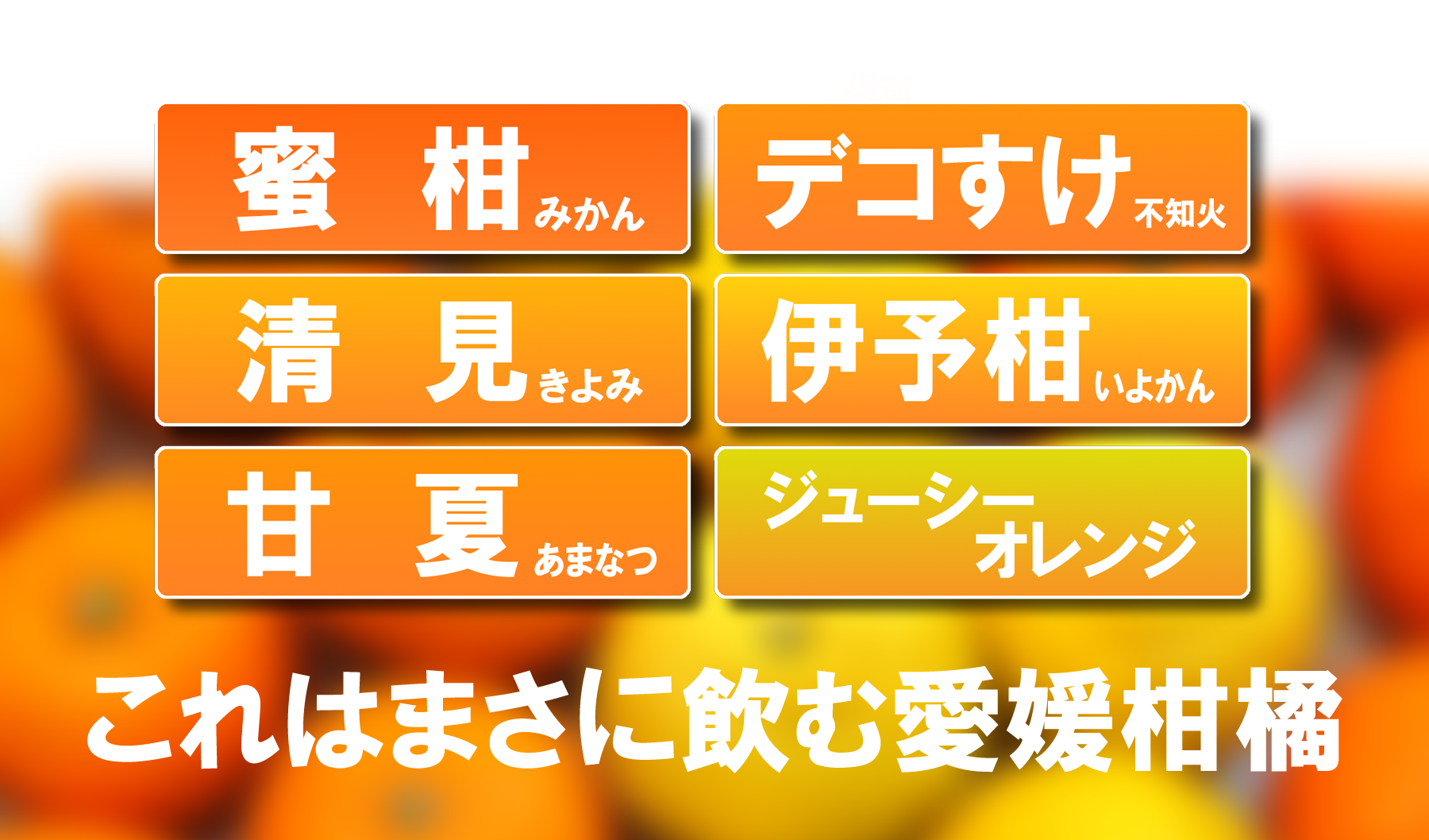 愛媛だいすけ 100%ストレート果汁ジュース