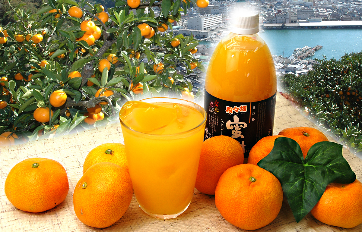 愛媛だいすけ 100%ストレート果汁ジュース