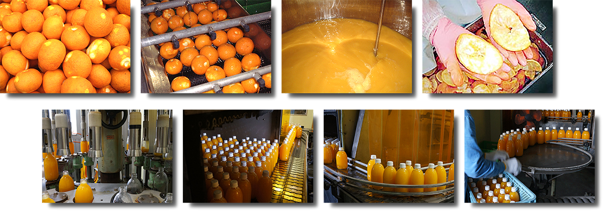 愛媛だいすけ 100%ストレート果汁ジュース