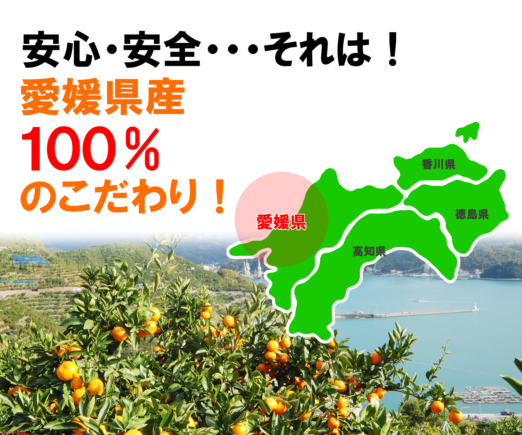 愛媛だいすけ 100%ストレート果汁ジュース