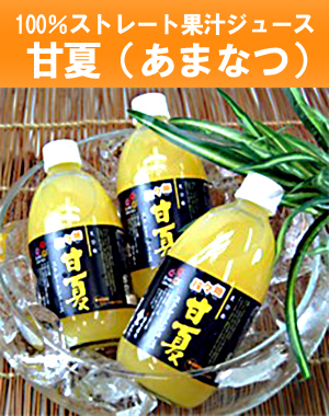 甘夏ジュース