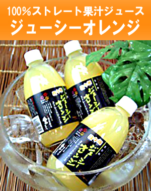 ジューシーオレンジジュース