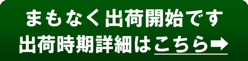 まもなく出荷