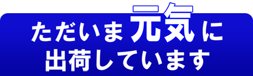 ただいま出荷中