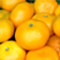 愛媛県産　愛媛みかん