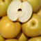 愛媛県産　豊水梨