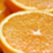 愛媛県産　ネーブルオレンジ