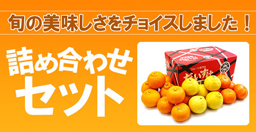 詰め合わせセット